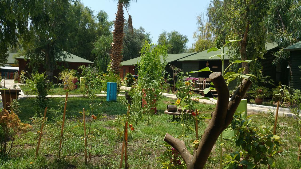 Oba Beach Hotel Олудениз Экстерьер фото
